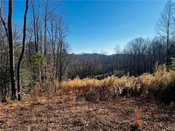 TBD Holly Springs Road, Mount Airy, NC 27030