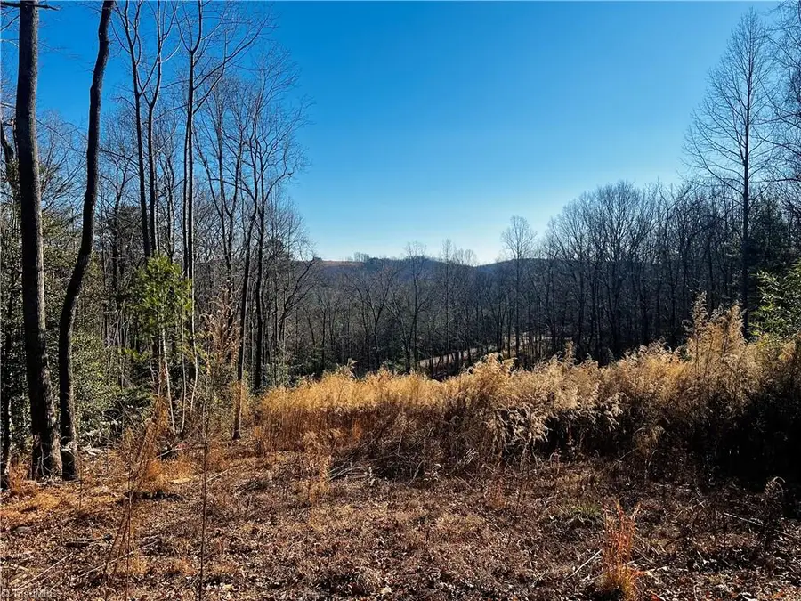 TBD Holly Springs Road, Mount Airy, NC 27030 - Image #3