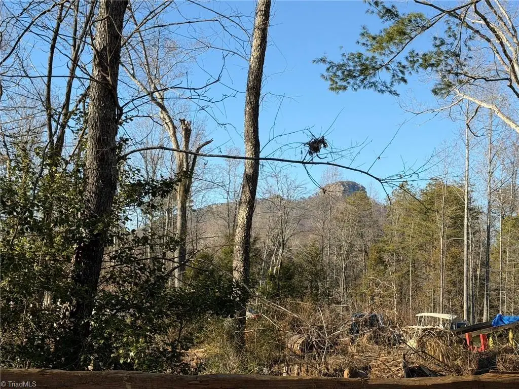 538 & 545 Culler Road, Pinnacle, NC 27021 - Image #1