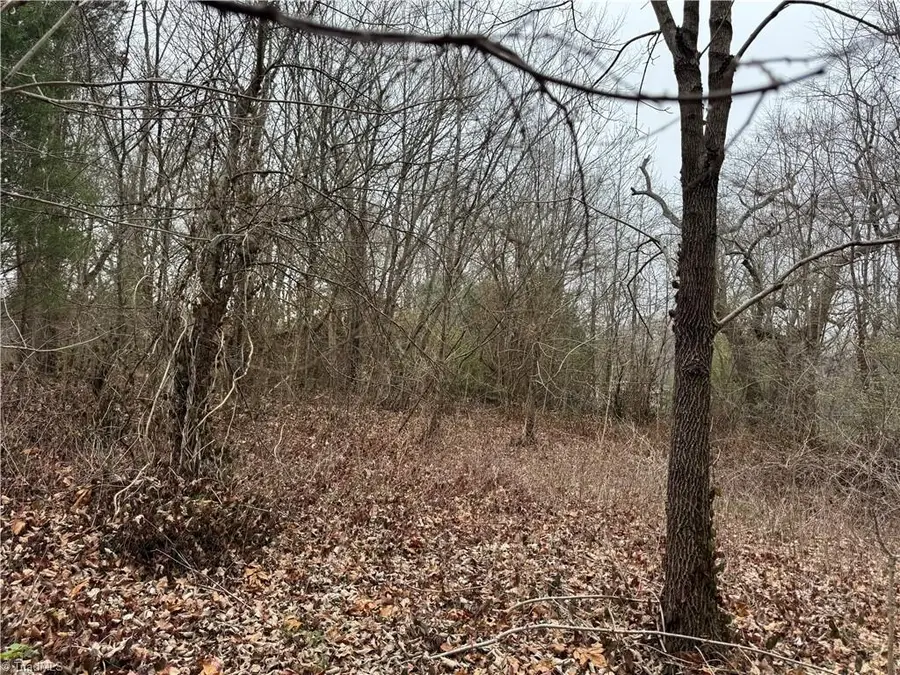 000 Trading Ford Way, Linwood, NC 27299 - #2