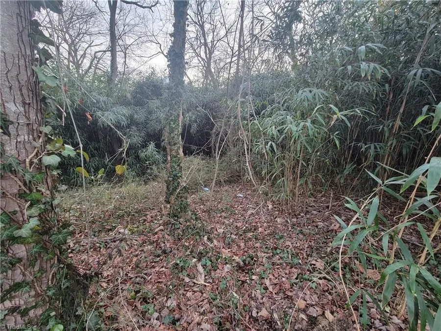 0 Davis Street, Reidsville, NC 27320 - #3