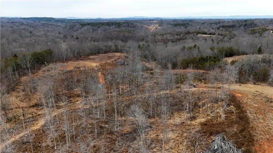 19.25+/- AC Pork Trail, Pinnacle, NC 27043 - Image #2