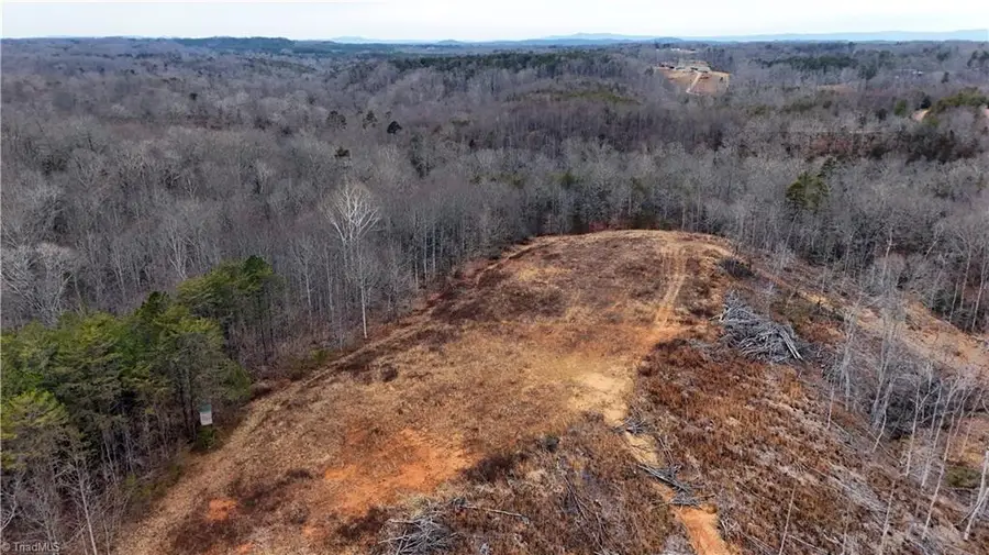 19.25+/- AC Pork Trail, Pinnacle, NC 27043 - Image #3