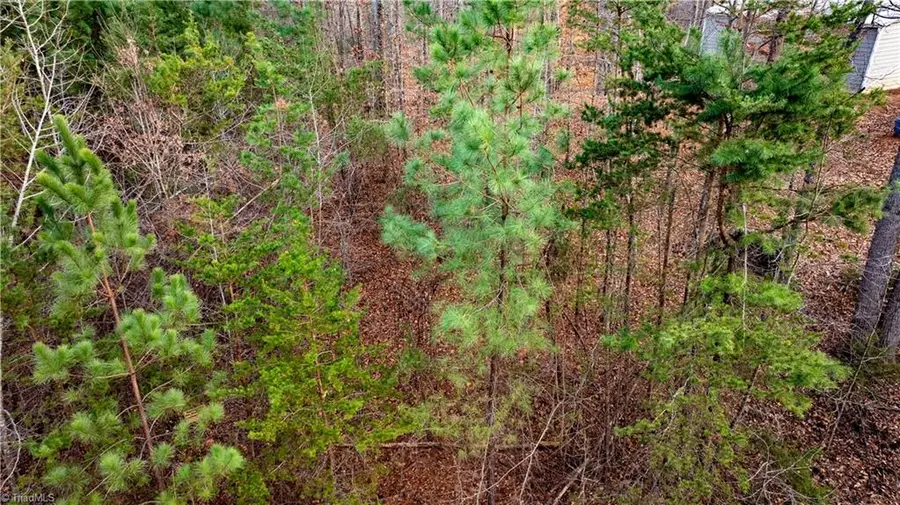 0 Poplar Bluffs Trail, Reidsville, NC 27320 - Image #2