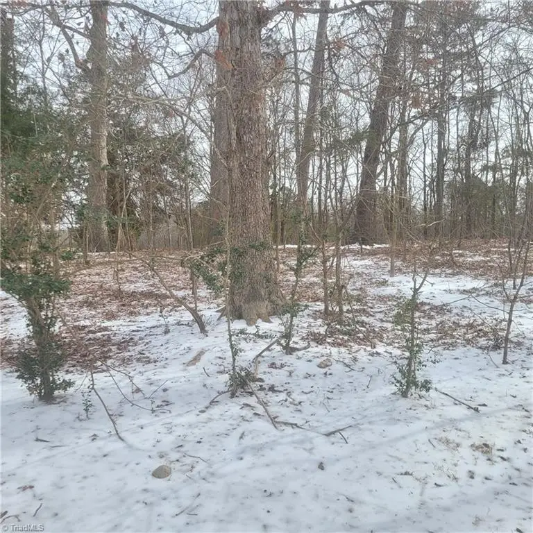 0 Little River Road, Asheboro, NC 27205 - Image #1