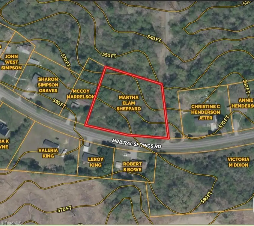 0 Mineral Springs Road, Pelham, NC 27311 - Image #2