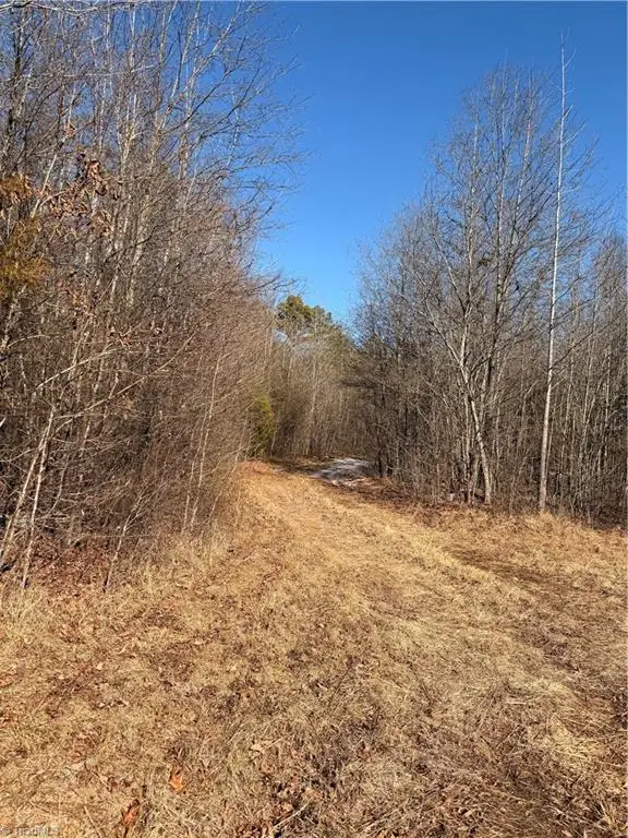 0 Stokes Ferry Road, Salisbury, NC 28146 - Image #1