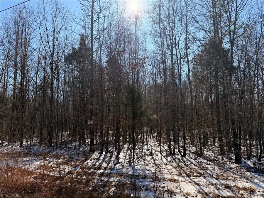 0 Stokes Ferry Road, Salisbury, NC 28146 - Image #2