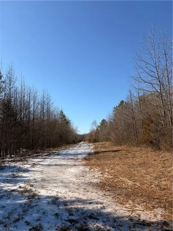 0 Stokes Ferry Road, Salisbury, NC 28146 - Image #3