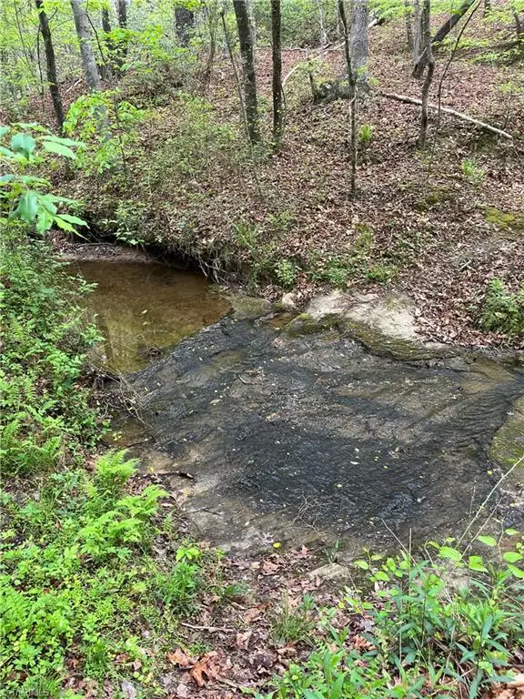 0 Sheets Trail, Germanton, NC 27019 - #3