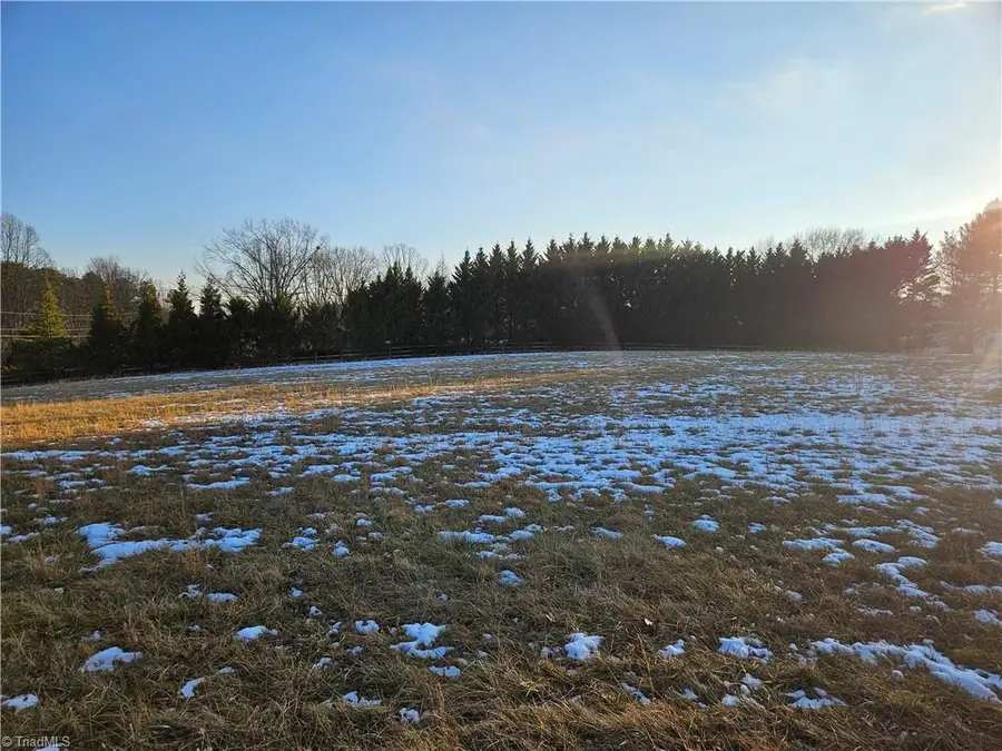 00 Volunteer Road #2, Pinnacle, NC 27043 - #2