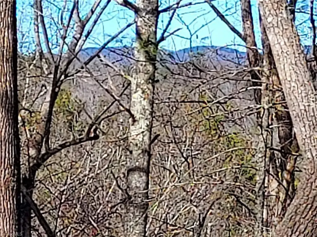 5354 West Ridge Road, Ferguson, NC 28624 - #1