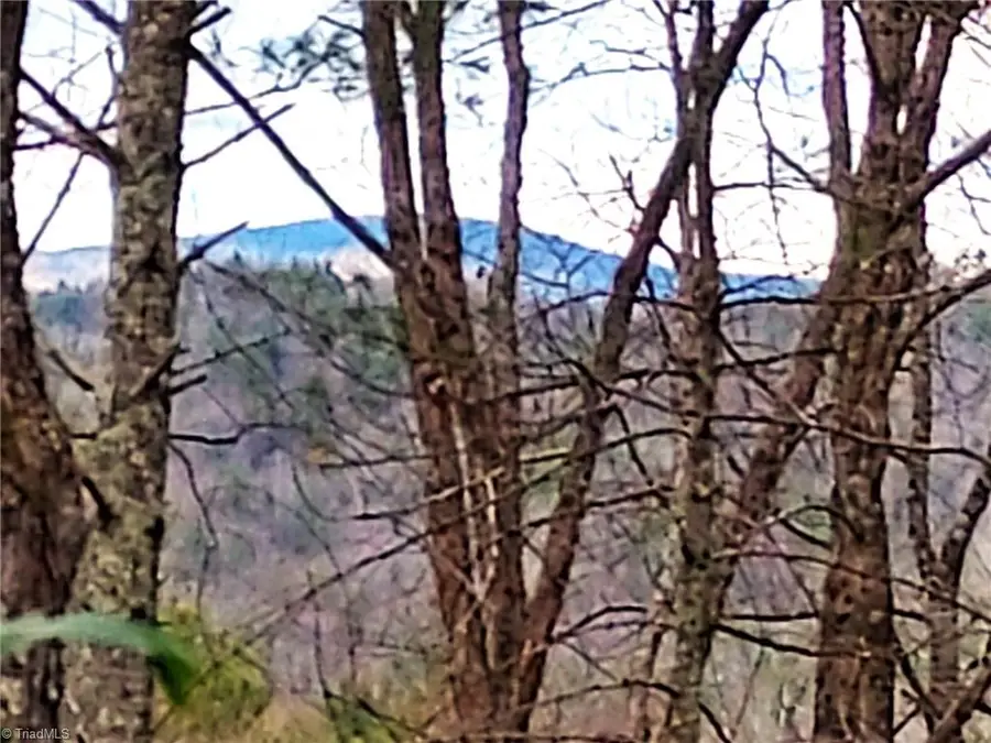 5354 West Ridge Road, Ferguson, NC 28624 - #2