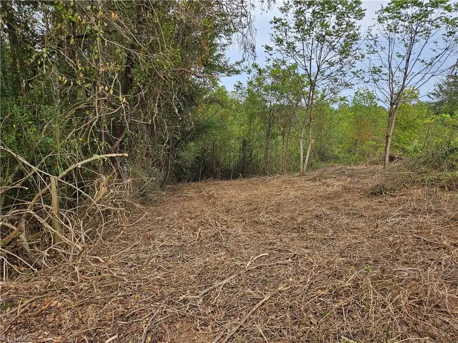 00 US Highway 601 Us Highway 601 #9, Dobson Township, NC 27017 - #3