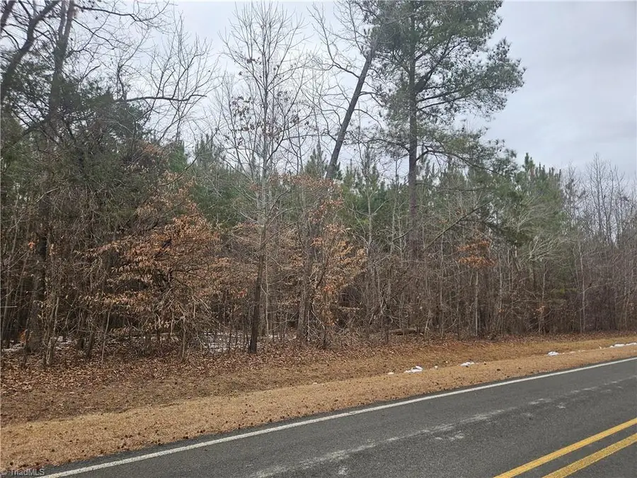 0 Drama Road, Snow Camp, NC 27349 - #2