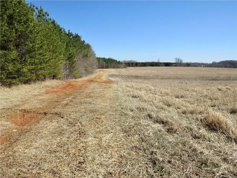 333 Haw Road, Browns Summit, NC 27214 - #3