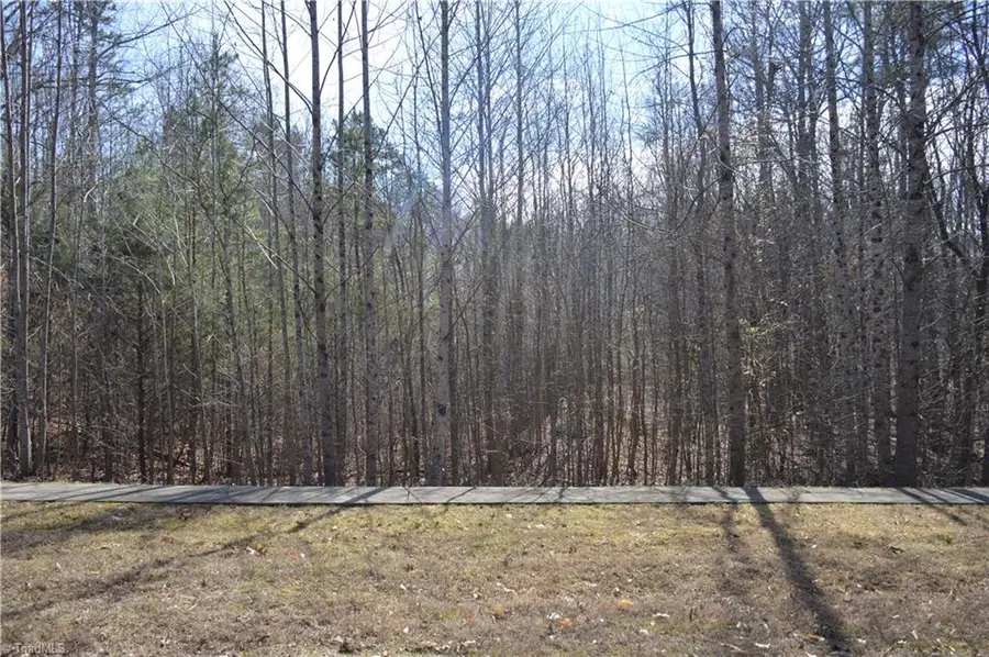 157 Matthias Court, Mocksville, NC 27028 - #2