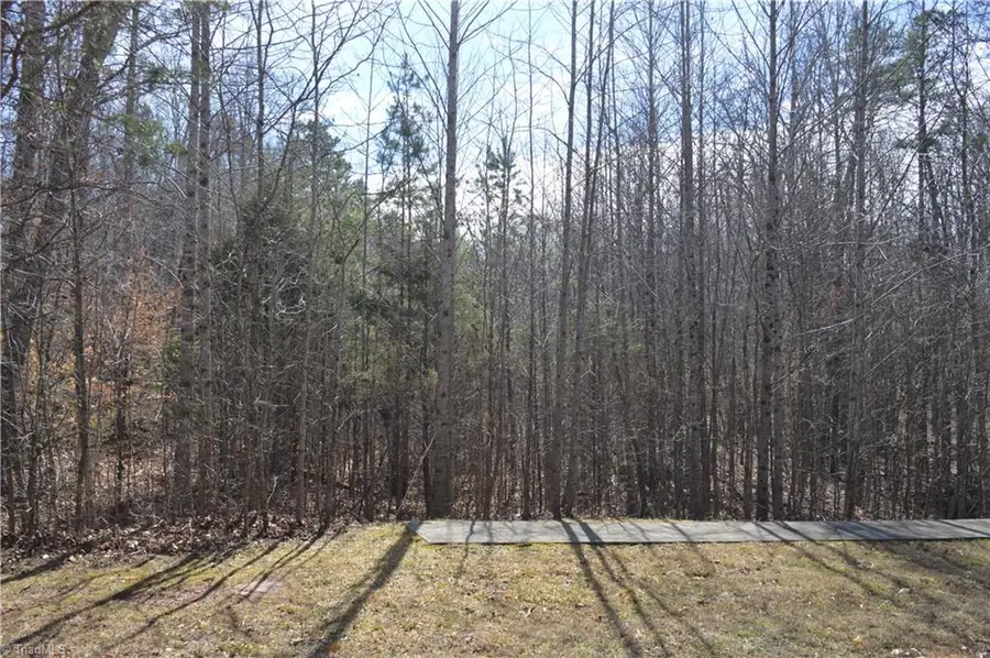 157 Matthias Court, Mocksville, NC 27028 - #3