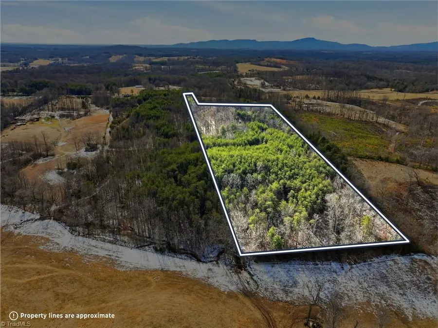 0 Nc Highway 704 W, Lawsonville, NC 27022 - #2