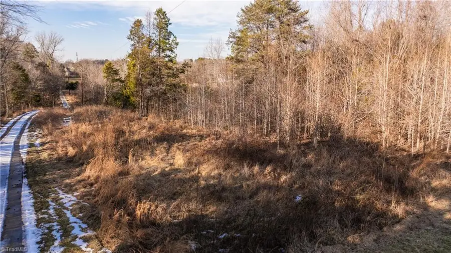 7111 Cedar Valley Drive, Randleman, NC 27317 - #3