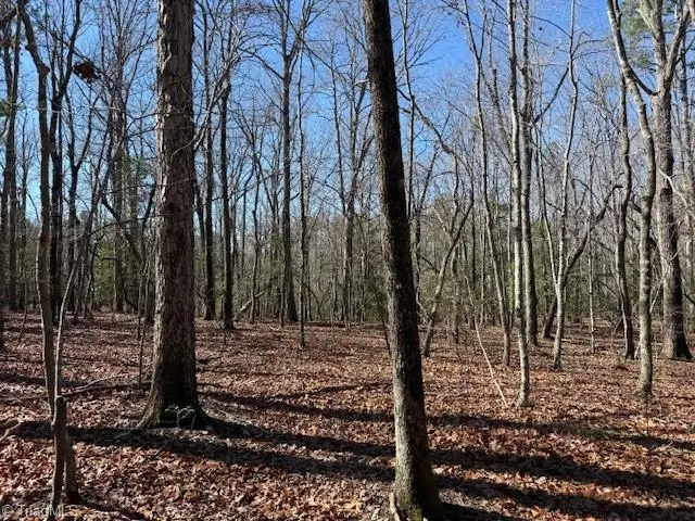 0 Thayer Road, Troy, NC 27371 - #1