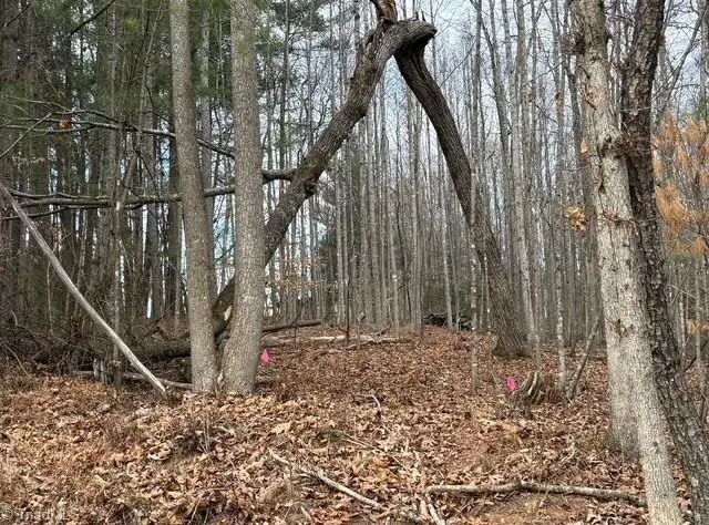 Lot 22 Austin Traphill Road, Traphill, NC 28685 - #2