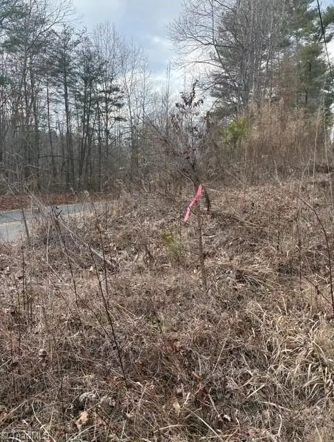 Lot 22 Austin Traphill Road, Traphill, NC 28685 - #3