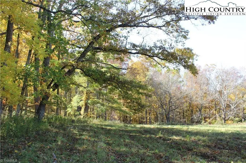 TBD Mcneill Road, Lansing, NC 28643 - #1
