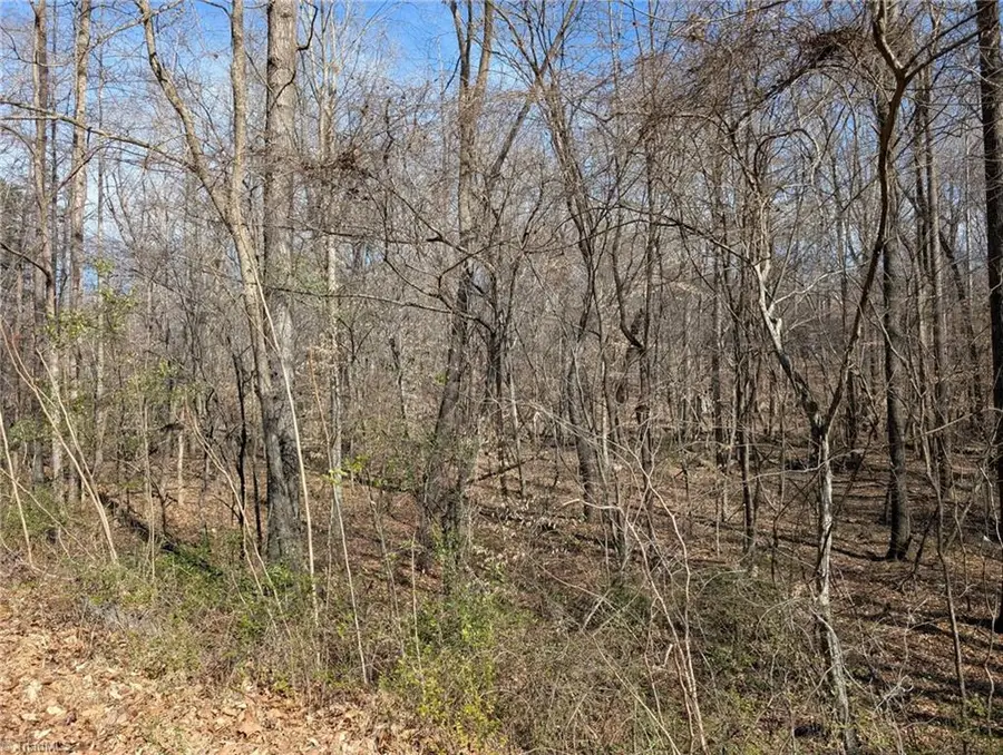 0 Browers Chapel Road, Asheboro, NC 27203 - #3