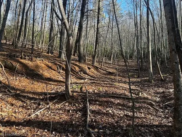 TBD S Nc Highway 16, Moravian Falls, NC 28654 - #2