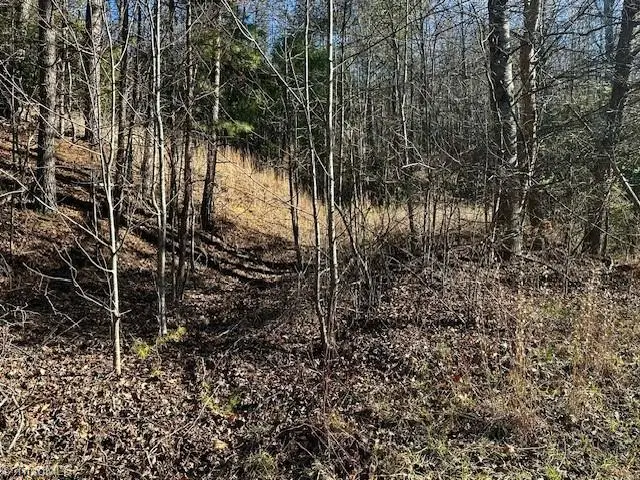 TBD S Nc Highway 16, Moravian Falls, NC 28654 - #3