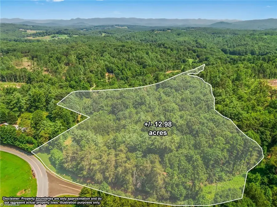 0 Mills Road, Mount Airy, NC 27030 - #2