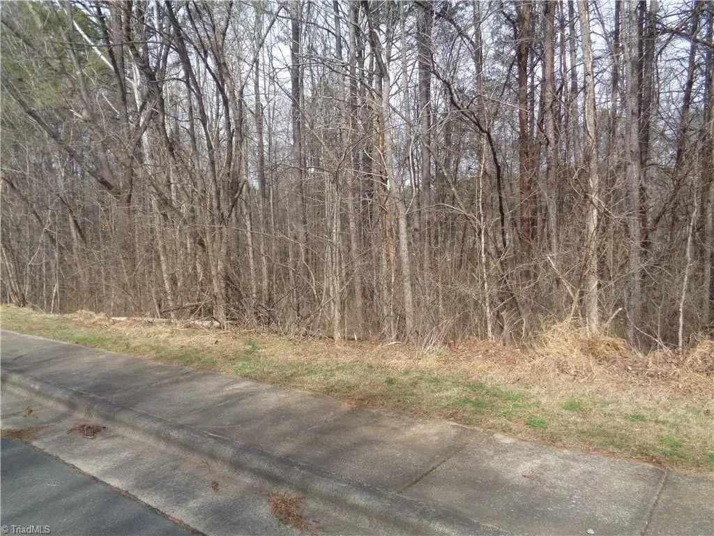 91 lot Haynoke Drive, Graham, NC 27253 - #1