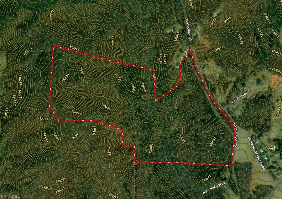 1096-1238 Cook School Road #97+/- AC Tract, Pilot Mountain, NC 27041 - #2