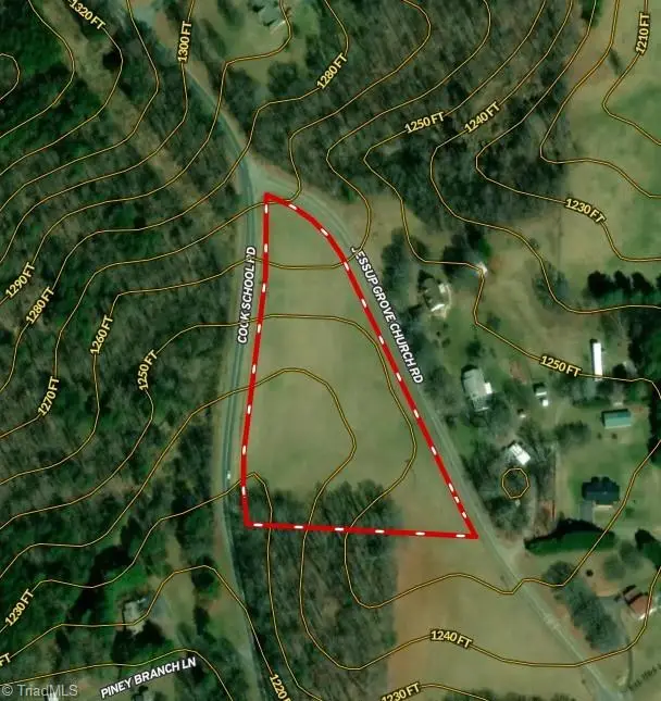 100-186 Jessup Grove Church Road #3.9 +/- AC tract, Pilot Mountain, NC 27041 - #2