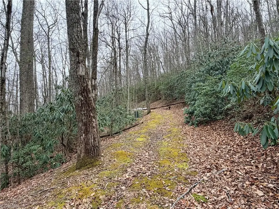 TBD (Lot 19) Wolf Den Lane, Lenoir, NC 28645 - #2