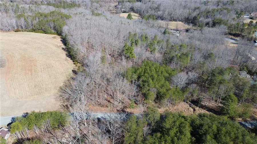 Tract G Hanging Rock Forest Road #G, Danbury, NC 27016 - #3