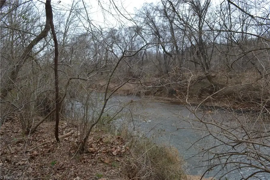 17.2 Acres Davie Lane, Madison, NC 27025 - #2