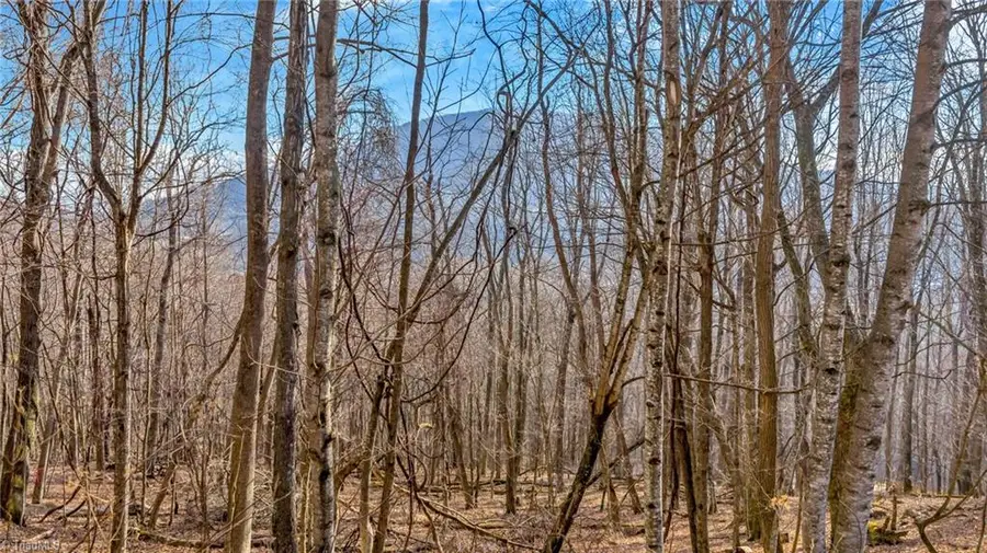 TBD 20 Townview Street, West Jefferson, NC 28694 - #2