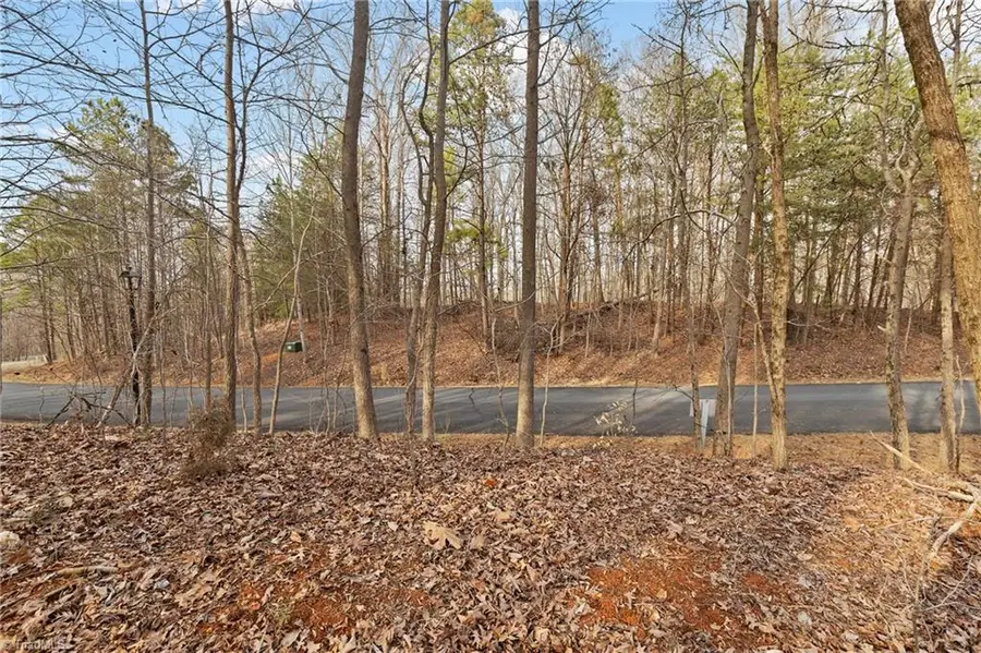 174 Mistral Lane, Denton, NC 27239 - #3