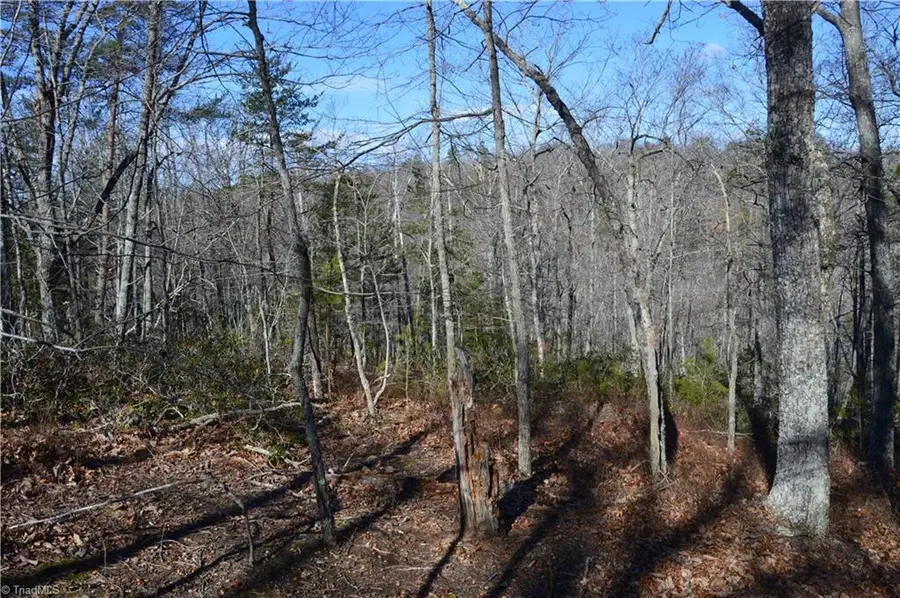 Tract C Nc Highway 89 W #Tract C, Danbury, NC 27016 - #3