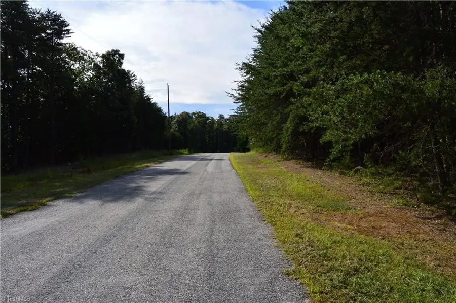 Tract E Hanging Rock Forest Road #Tract E, Danbury, NC 27016 - #3