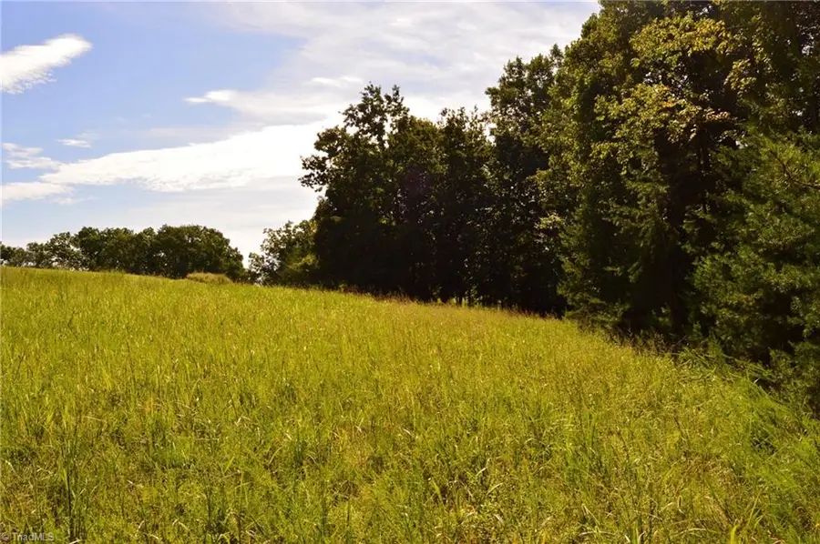 Tract D Hanging Rock Forest Road #Tract D, Danbury, NC 27016 - #2