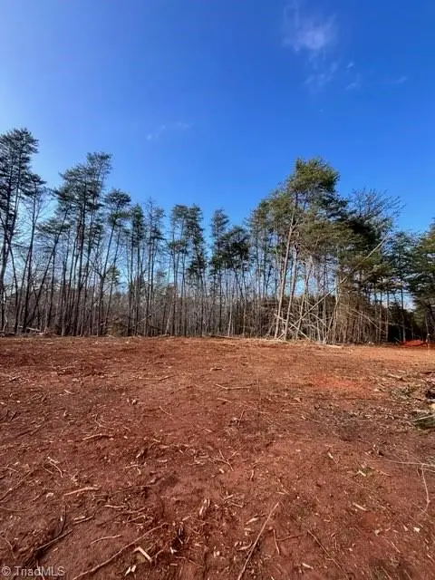 0 Mcdaniel Road, Pilot Mountain, NC 27041 - #1