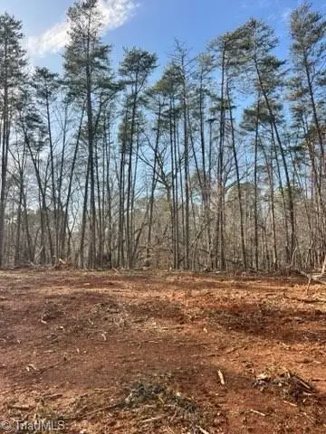 0 Mcdaniel Road, Pilot Mountain, NC 27041 - #2