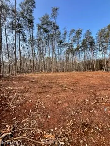 0 Mcdaniel Road, Pilot Mountain, NC 27041 - #3