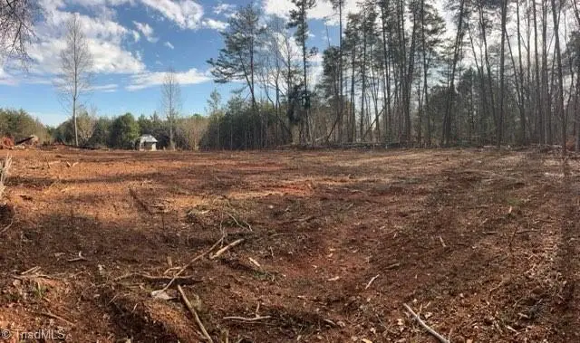 1506 Mcdaniel Road, Pilot Mountain, NC 27041 - #2