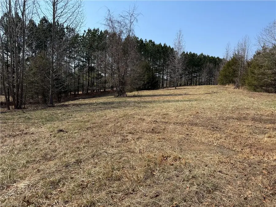 00 Lake Farm Road, Yanceyville, NC 27379 - #3