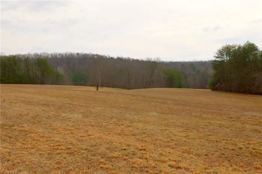 3361 Nc Highway 66 S, Westfield, NC 27053 - #2