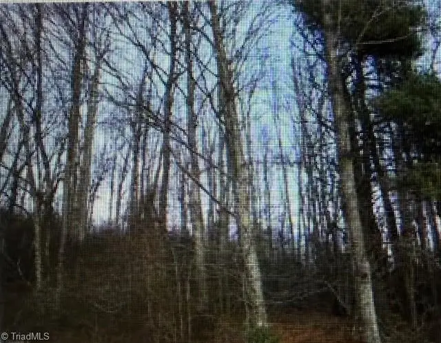 TBD Tony Holder Road, Lowgap, NC 27024 - #1